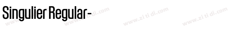 Singulier Regular字体转换 Singulier Regular字体转换